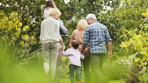 a group of people walking through a lush green forest