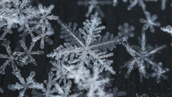 stress and fragility shown through close-up of snowflake