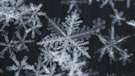 stress and fragility shown through close-up of snowflake