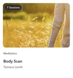 a person standing in a field of tall grass