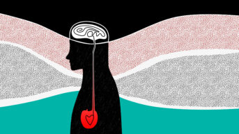 heart and head connection