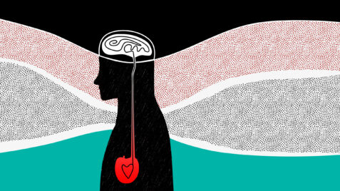 heart and head connection