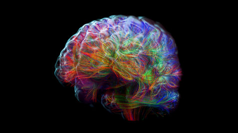 A colorful brain against black background